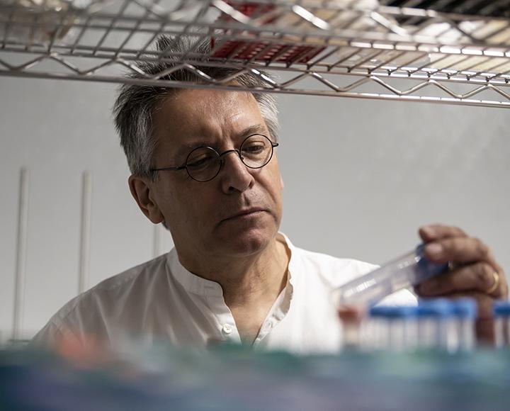 Graham Hatfull, the Eberly Family Professor of Biotechnology in the University of Pittsburgh’s Kenneth P. Dietrich School of Arts and Sciences. (Aimee Obidzinski/University of Pittsburgh)