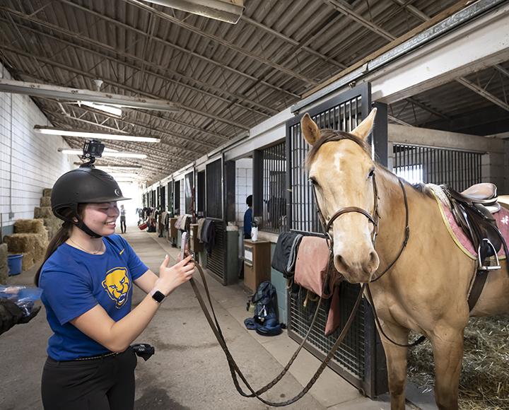 A person in a blue panther shirt holds the reins of a tan horse