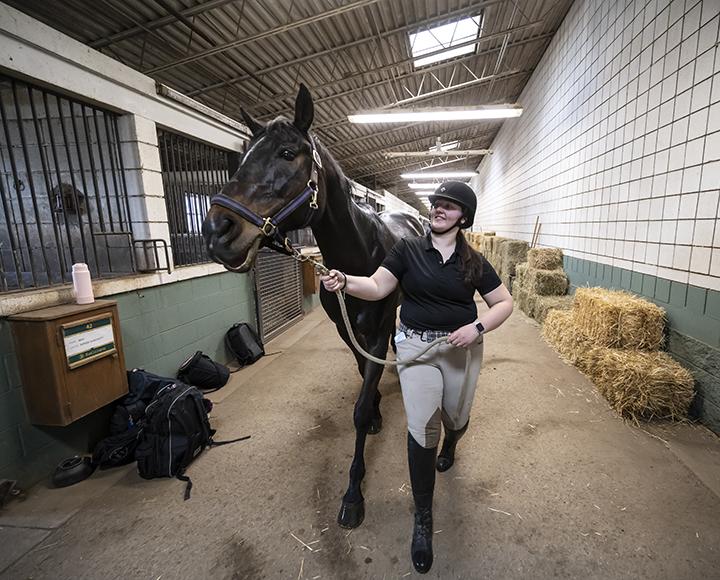 A person in riding clothes leads a horse through a barn