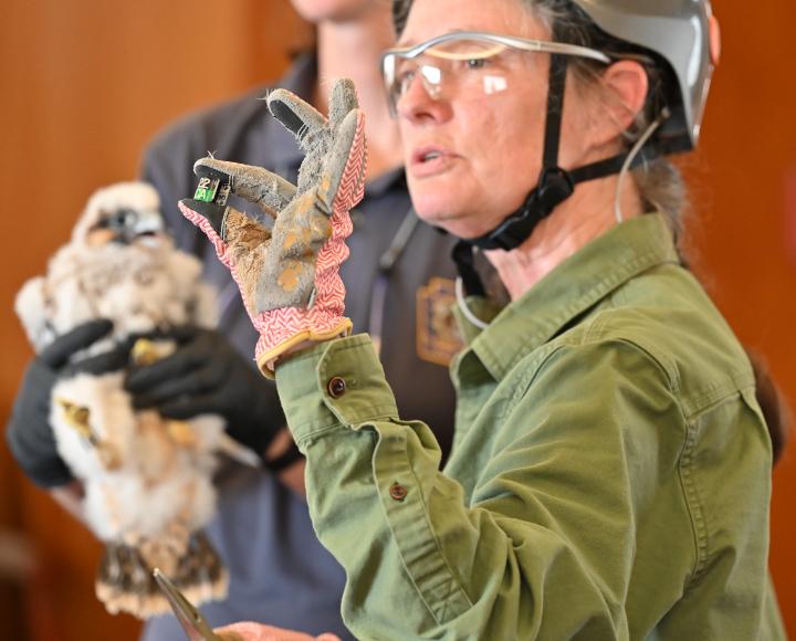 Person wearing helmet and glasses holds up small black and green metal band