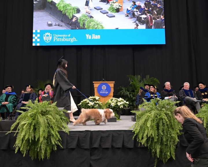 Accompanied by a service dog, a student walks across the stage to collect their diploma.