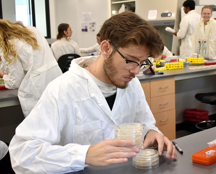 A student in a lab coat inspects a stack of agar trays