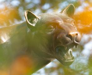 A panther statue through yellow leaves