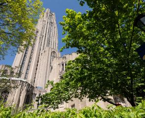 Cathedral of Learning with green summer foliage