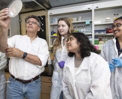 Professor Graham Hatfull and others in lab together