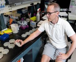 Kaplan looks at petri dishes in a lab