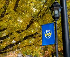 A Pitt shield flag on a lamppost in front of yellow leaves