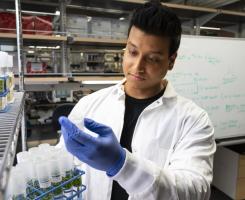 A student in a white lab coat looks at a vial full of duckweed 