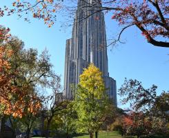 Gothic cathedral surrounded by fall trees.
