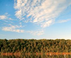 A lake and trees under blue skies with thin clouds.