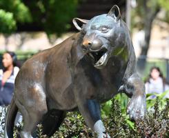 Students walk by the bronze panther statue
