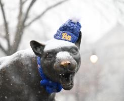 Panther statue wearing Pitt beanie in the snow.