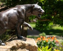 The panther statue surronded in summer foliage