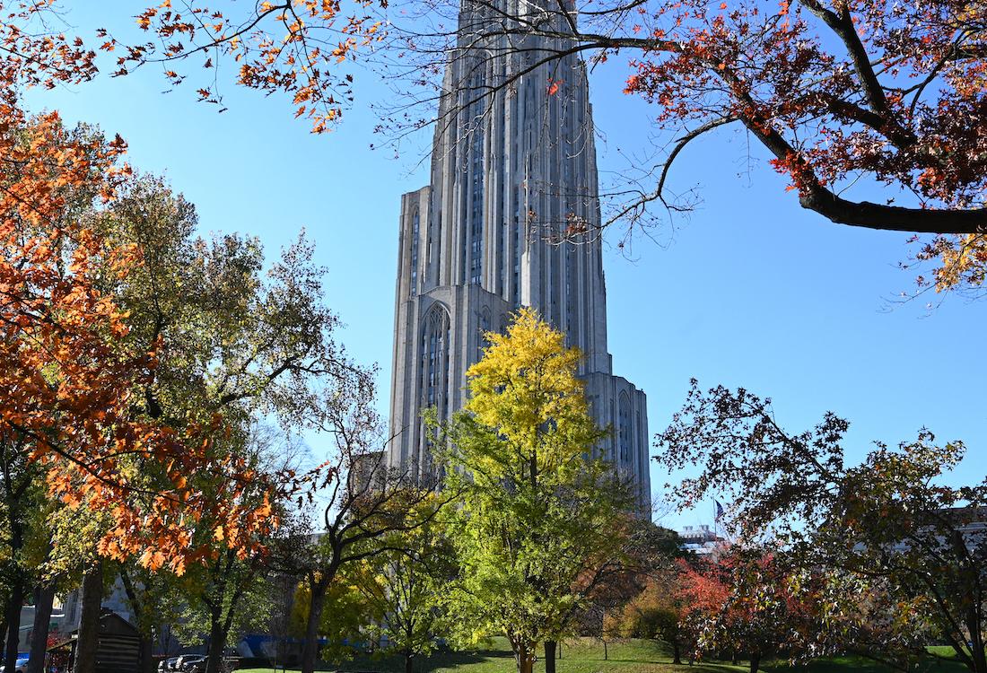 Trees with fall leaves in front of the Cathedral of Learning.