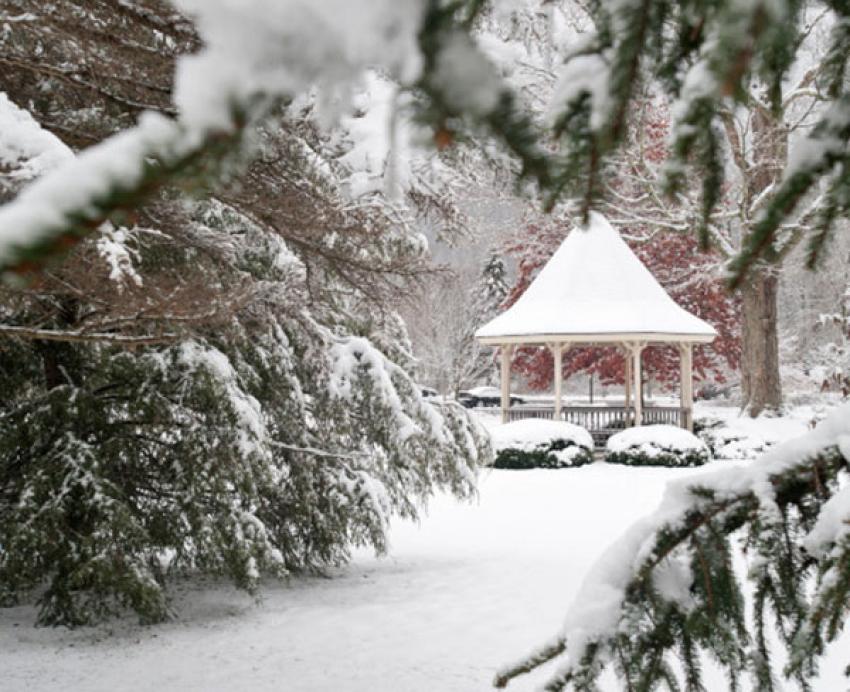 Pitt-Bradford Snow