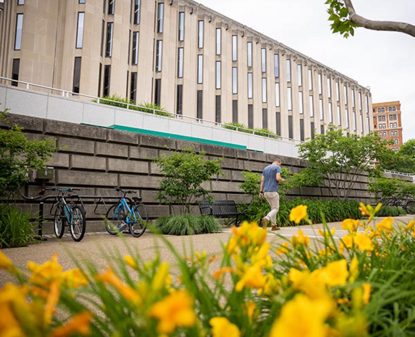 Hillman Library