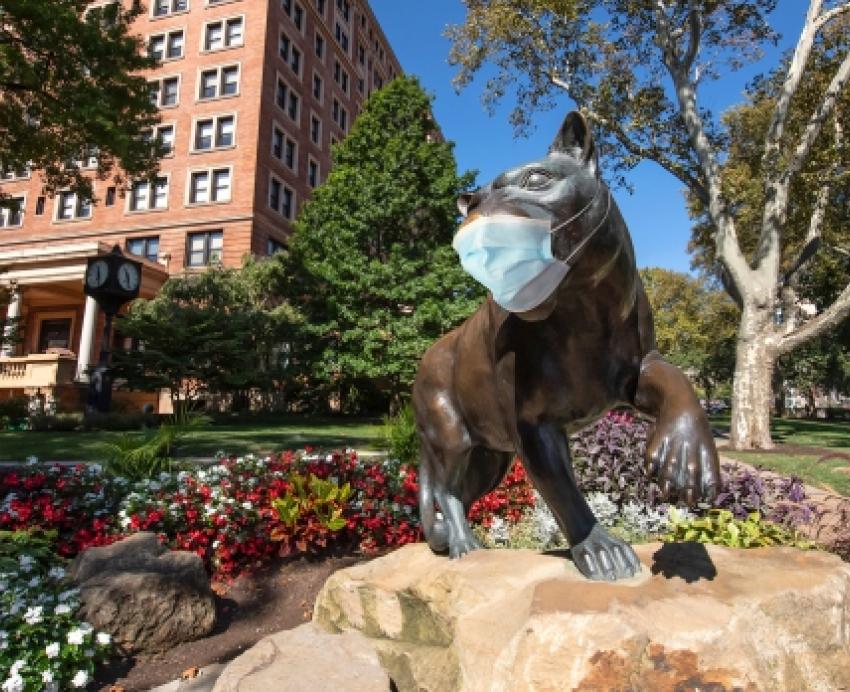 Panther wearing mask
