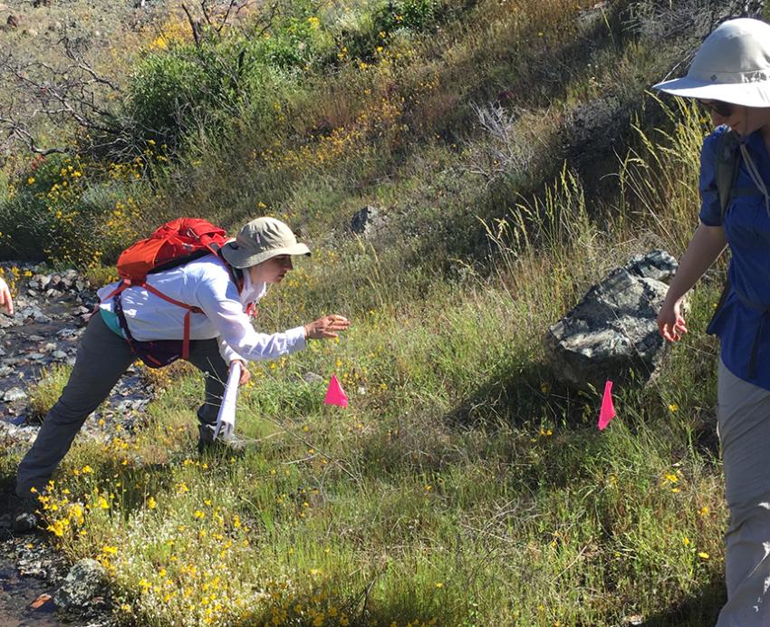Three Pitt biologists in a field of grass