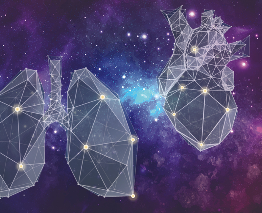 Geometrical renderings of heart and lungs with starry background