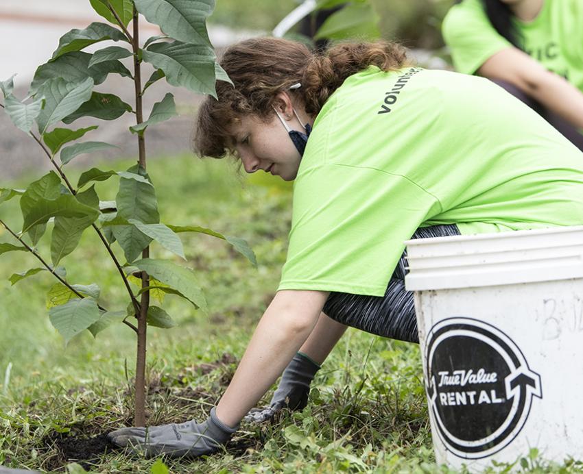 People in green shirts planting trees in the grass
