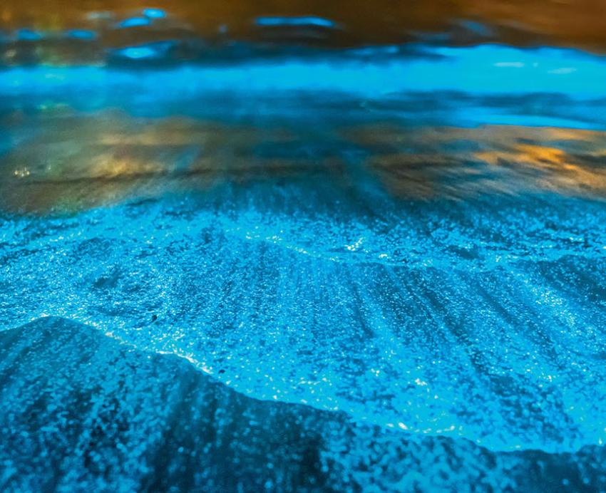 Vibrant blue waves on a shore