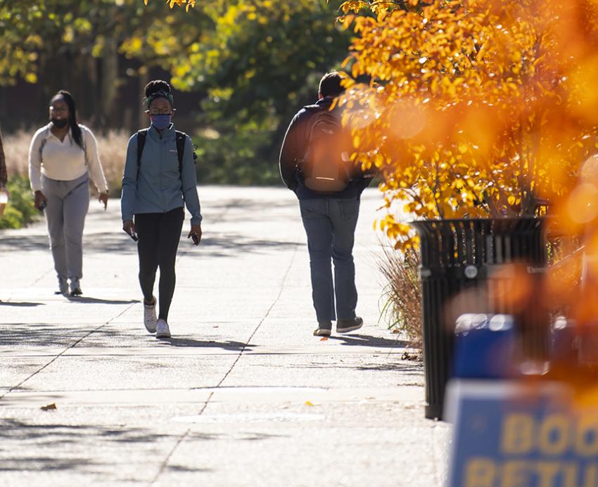 Students walking on campus next to fall trees.