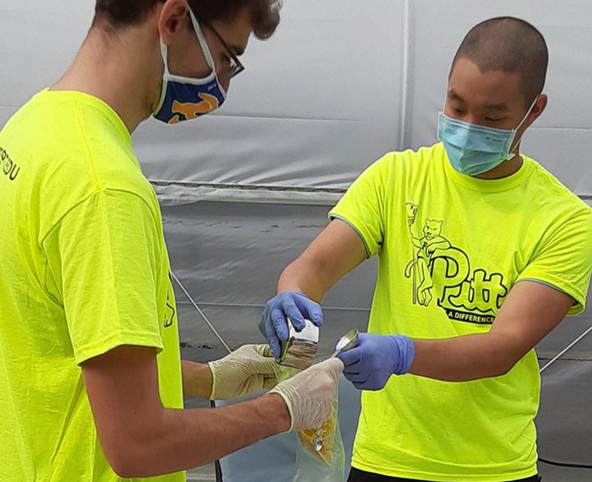 Pitt volunteers in yellow shirts working together