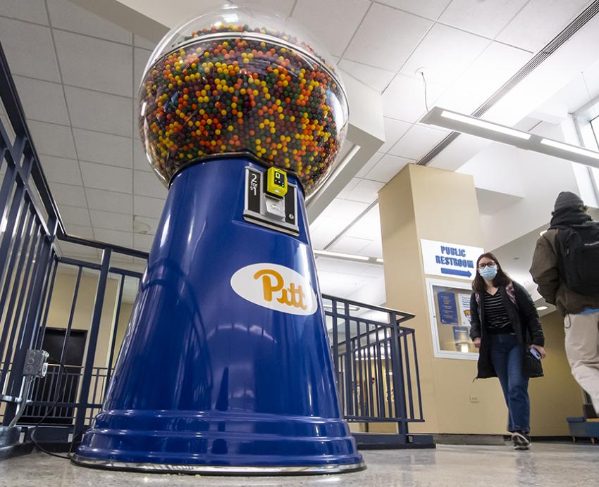 7-foot tall gumball machine with Pitt logo inside Litchfield Towers
