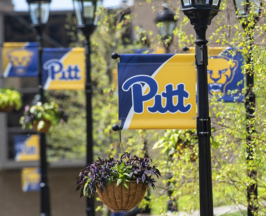 Pitt banners on campus during spring
