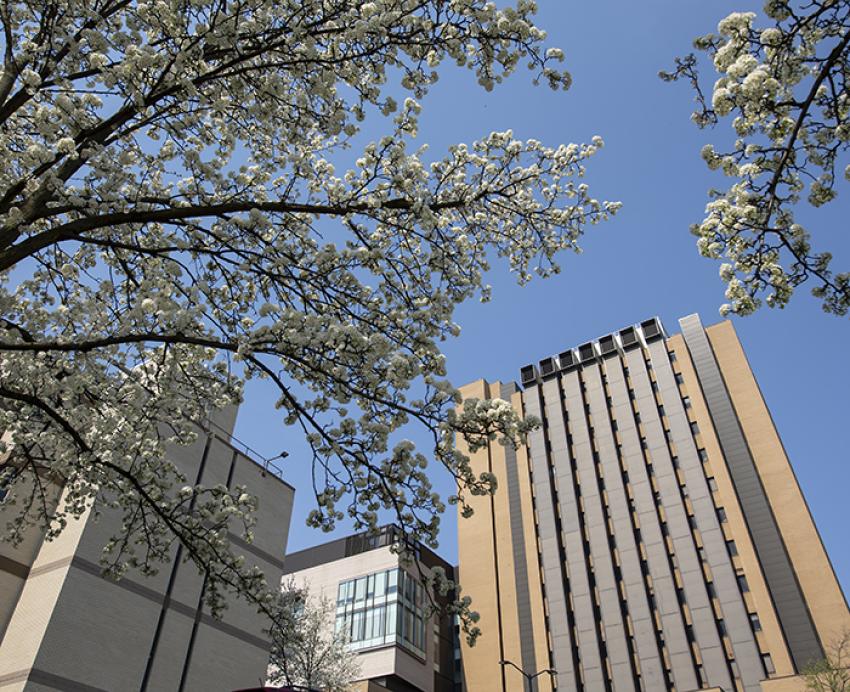Chevron Science Center in front of spring trees 
