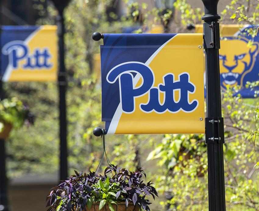 Pitt banners on campus during spring
