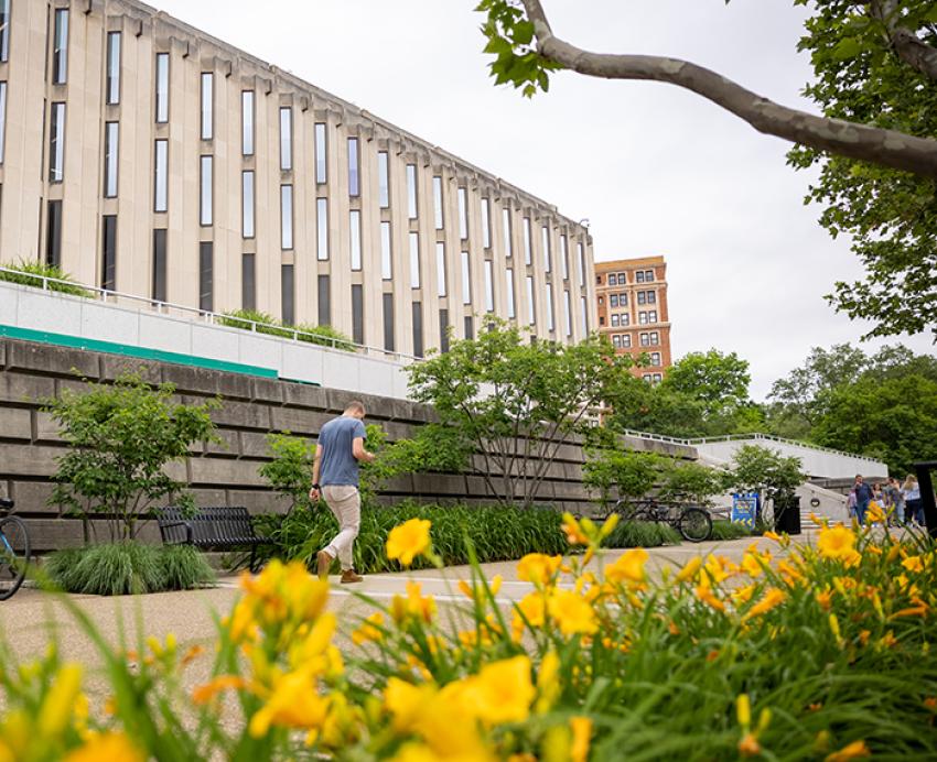 Man walking outside of Hillman Library next to bright yellow flowers