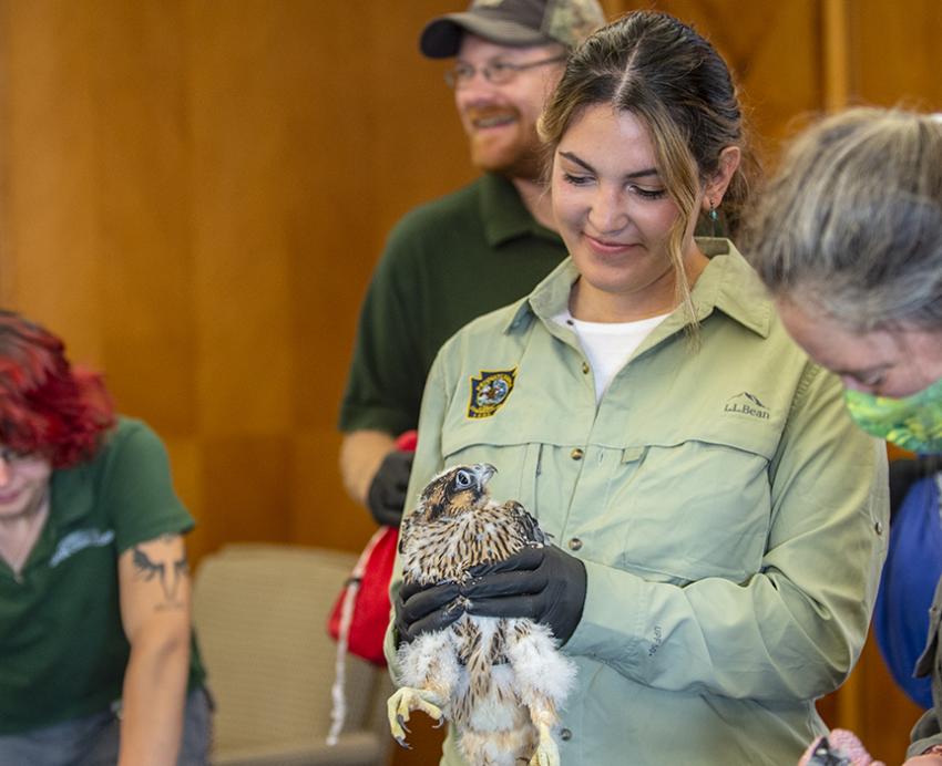 a person holding a small falcon