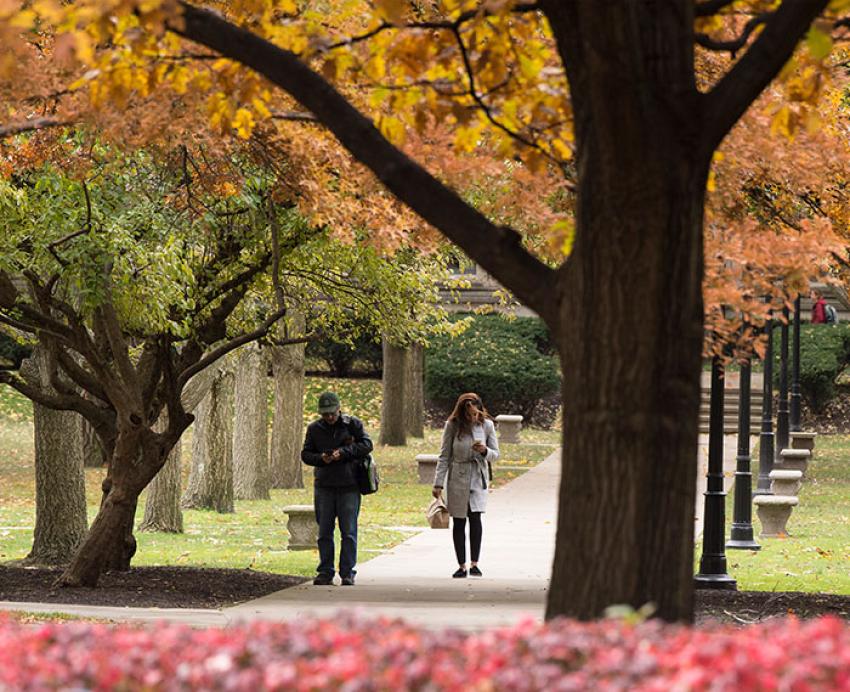 a golden autumn day on a sidewalk near the Cathedral