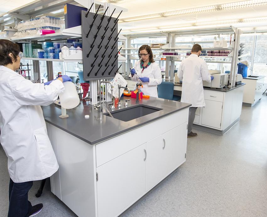 several people working in a bright lab