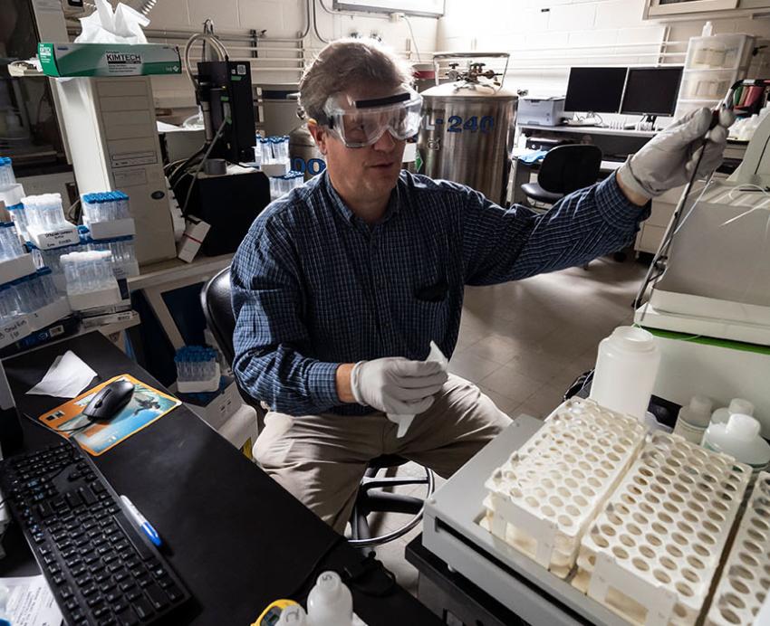 Bain working in a lab