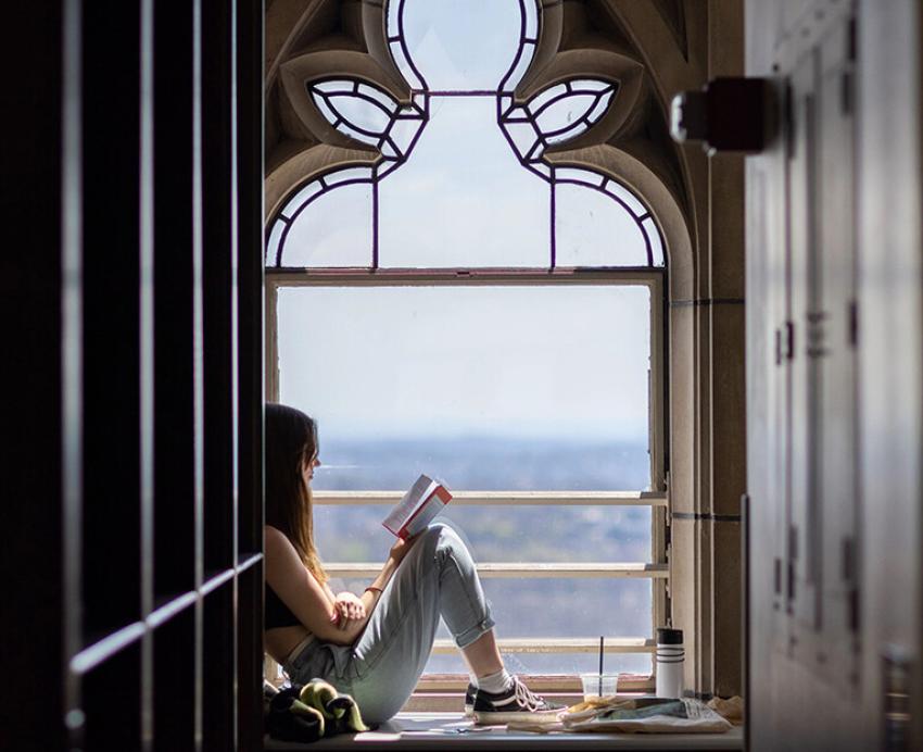 a person reads in a window