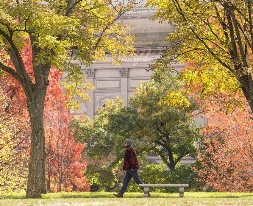 a colorful fall scene on campus