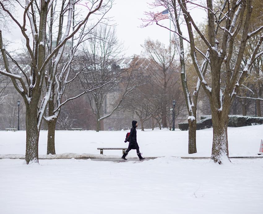 A person in a black jacket walks on a snowy day