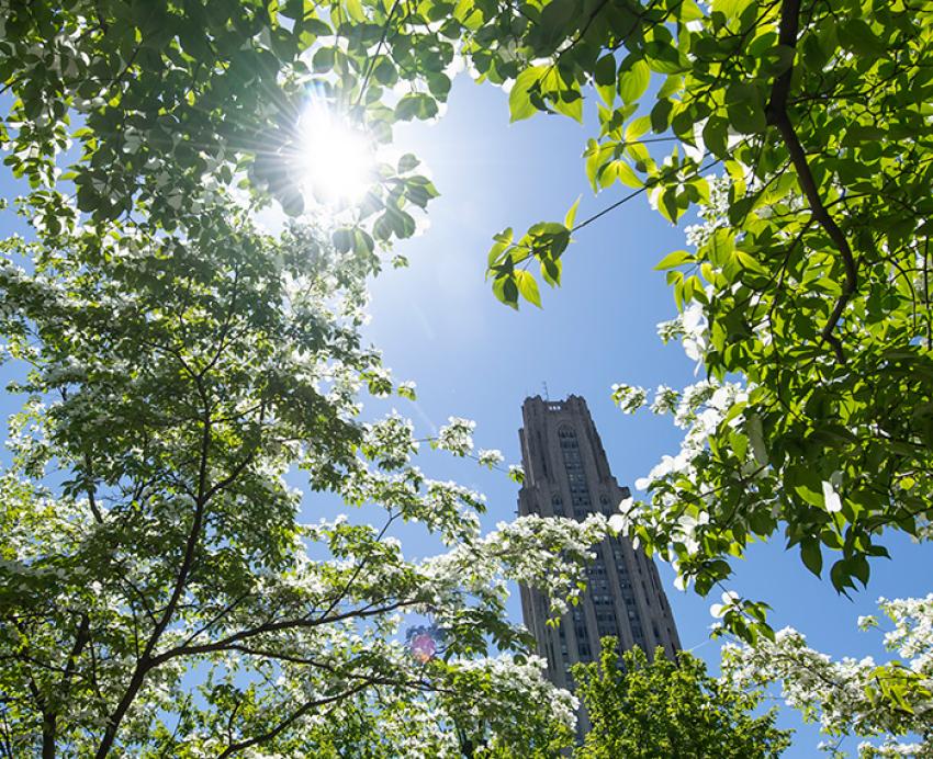 The sun and the Cathedral of Learning show between tree branches