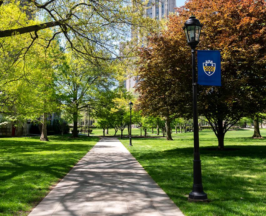 A Pitt flag hangs on a lamppost next to a sidewalk