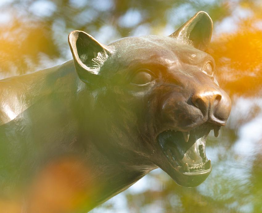 A panther statue through yellow leaves