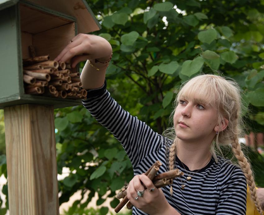 A person puts hollow sticks into a wooden pollinator house