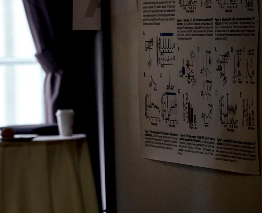An outline of a person looking at a research poster