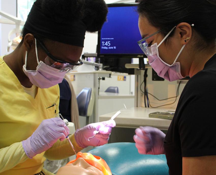 Two masked people practice dentistry on a mannequin