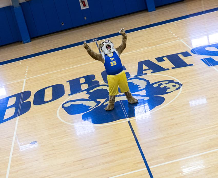 Bruiser howling in a gym