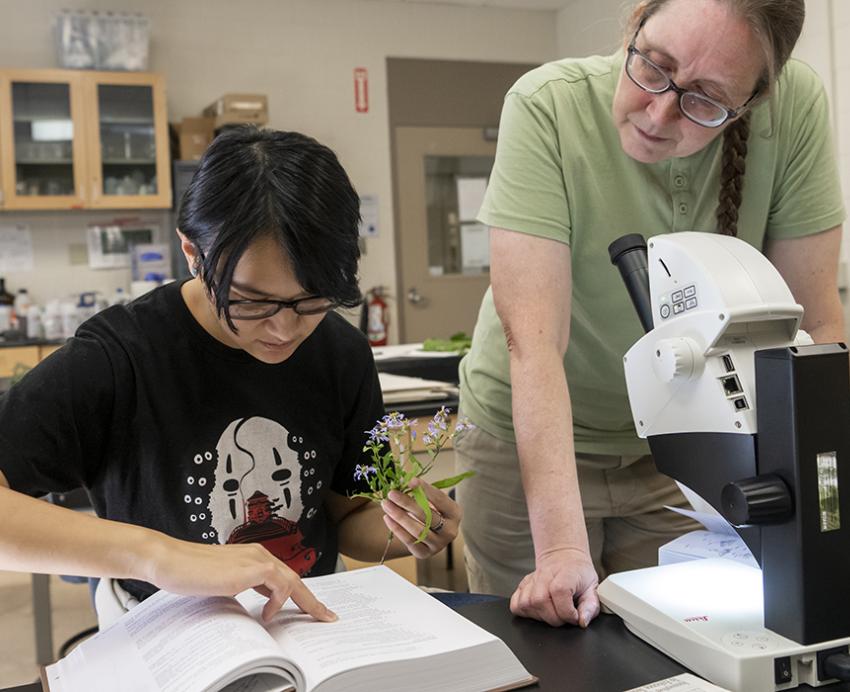 two people working in a lab