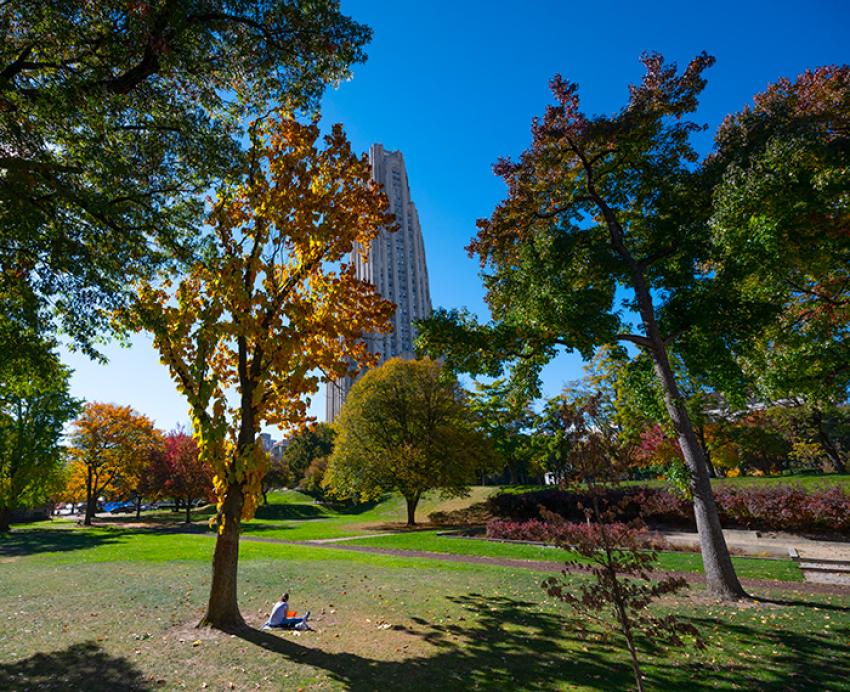 A person sits on a lawn under fall trees. The Cathedral of Learning is in the background.
