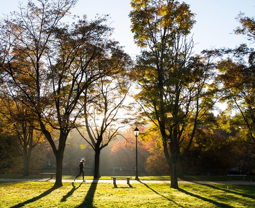 A person walks on a trail on a fall morning