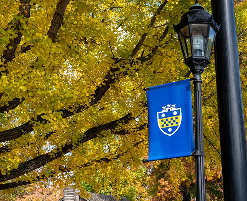 A Pitt shield flag on a lamppost in front of yellow leaves